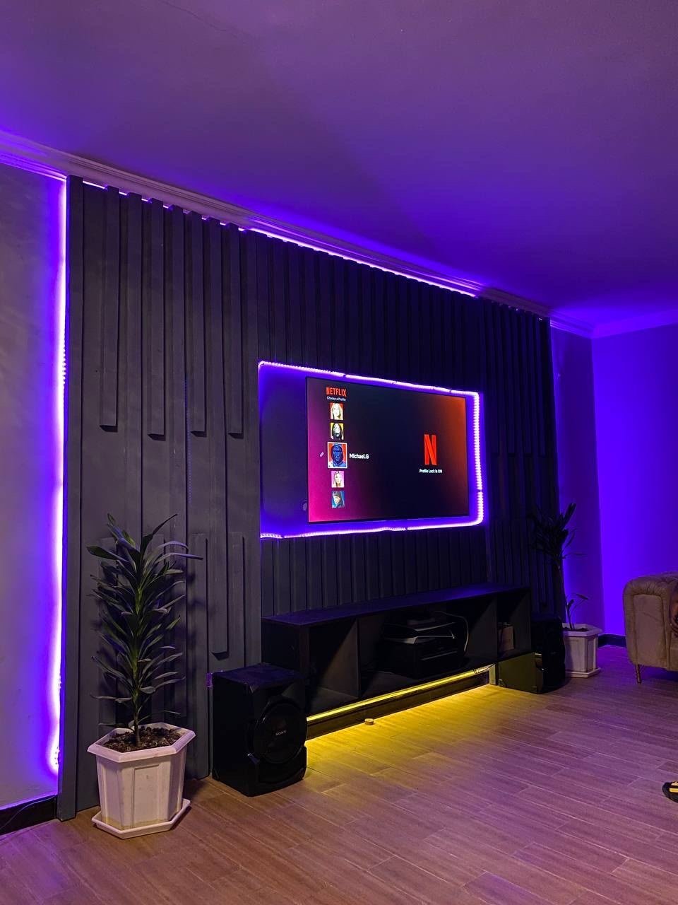 Feature Wall & Entertainment Interior